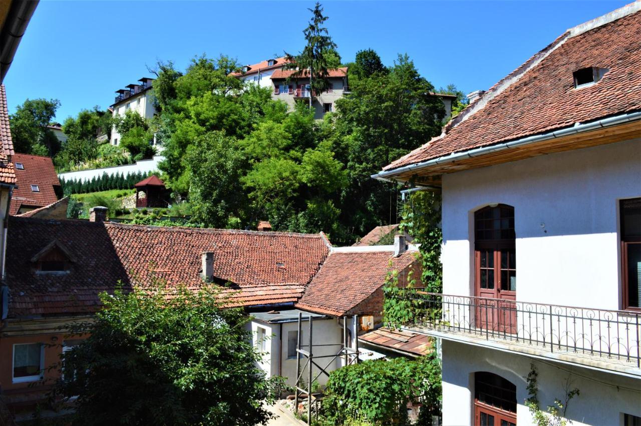 Eco Studio Brasov Luaran gambar
